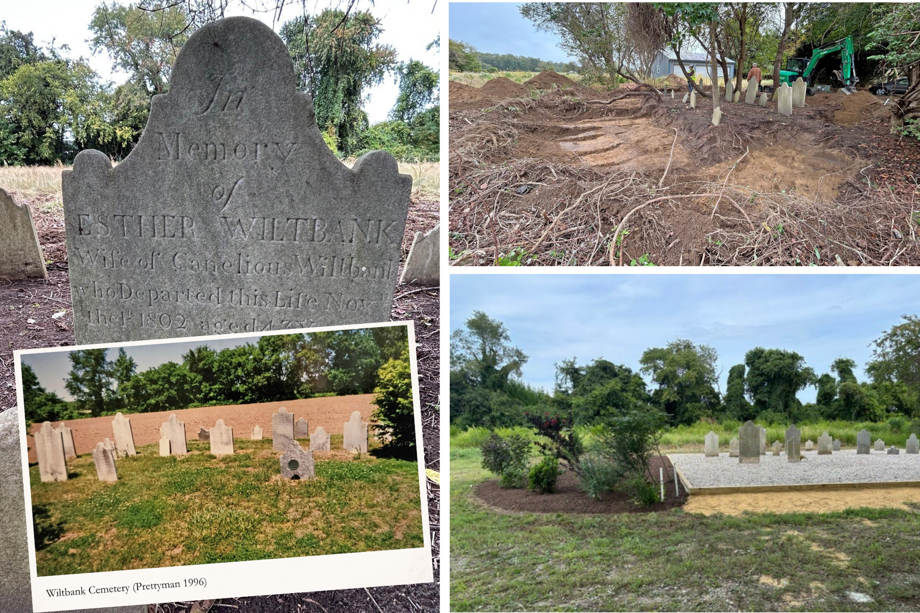Wiltbank Restoration final